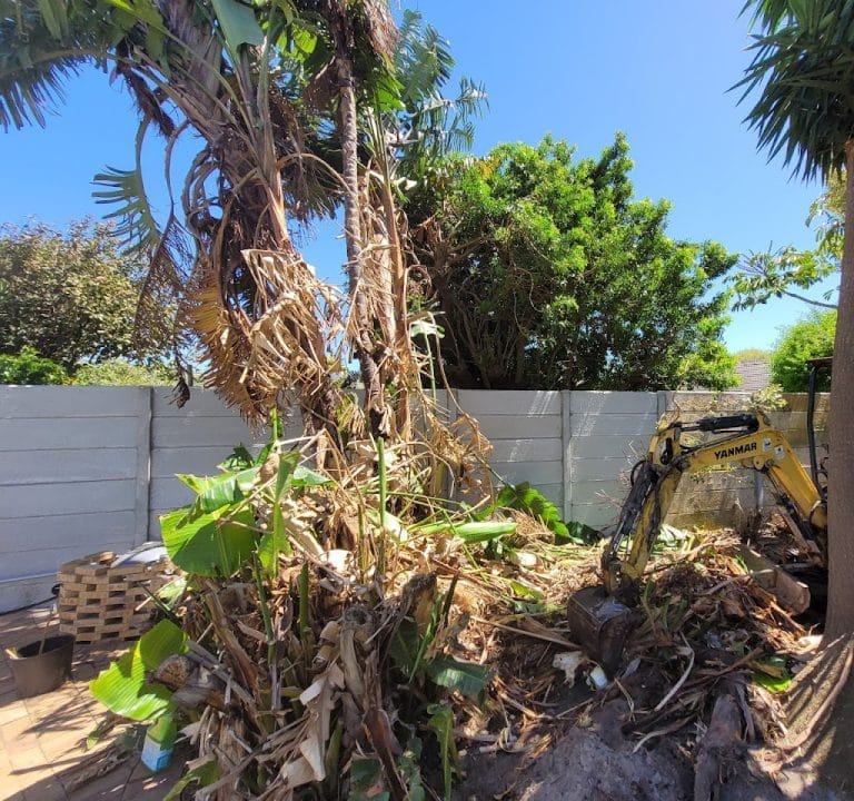 AF1QipNgqc49uTutJq5zikUJ3So7PTqasm8TJwpBkKhow1024 h960 p k nodummy 768x720