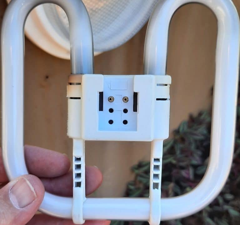 WDBMNsM4BKcdUgIIk4TyHAw1024 h960 p k nodummy 768x720