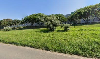 panoidsoAsxetg5PKYlDjRlNjY4Acb clientsearch.gws prod.gpsw408h240yaw294.96683pitch0thumbfov100dummy